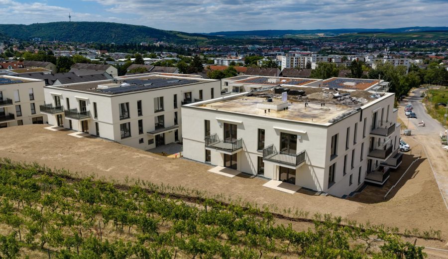 Projekt-Update: Erfolgreiche Abnahmen im Humperdinck Park