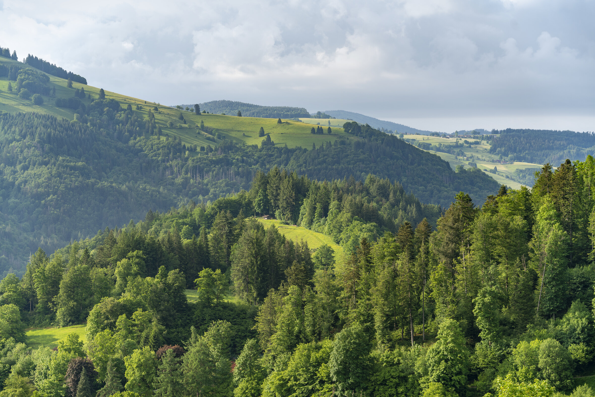 Reizvolle Umgebung am Rande des Schwarzwalds